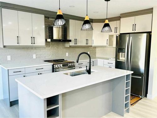 145 Saddletree Close Ne, Calgary, AB - Indoor Photo Showing Kitchen With Double Sink With Upgraded Kitchen