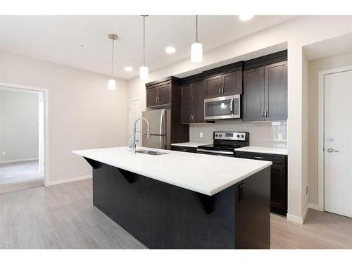 236-20 Seton Park Se, Calgary, AB - Indoor Photo Showing Kitchen With Stainless Steel Kitchen With Upgraded Kitchen