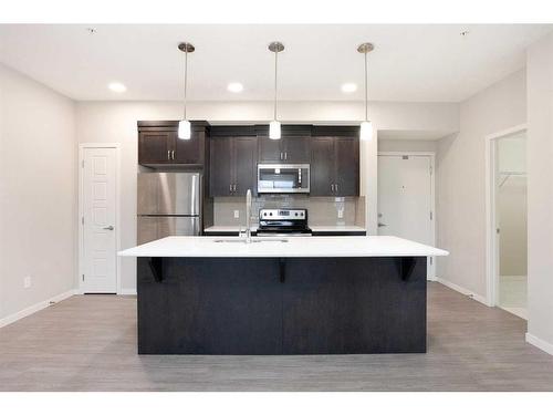 236-20 Seton Park Se, Calgary, AB - Indoor Photo Showing Kitchen With Stainless Steel Kitchen With Upgraded Kitchen