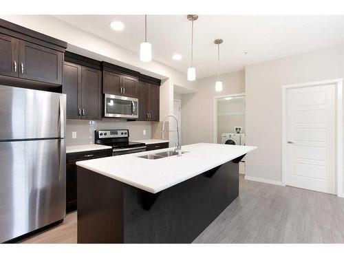 236-20 Seton Park Se, Calgary, AB - Indoor Photo Showing Kitchen With Stainless Steel Kitchen With Double Sink With Upgraded Kitchen