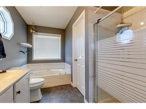 84 Somerset Drive Sw, Calgary, AB - Indoor Photo Showing Bathroom