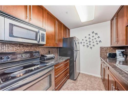 209-790 Kingsmere Crescent Sw, Calgary, AB - Indoor Photo Showing Kitchen