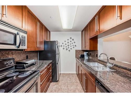 209-790 Kingsmere Crescent Sw, Calgary, AB - Indoor Photo Showing Kitchen With Double Sink