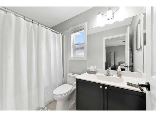 197 Saddlebrook Way Ne, Calgary, AB - Indoor Photo Showing Bathroom