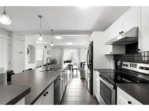 197 Saddlebrook Way Ne, Calgary, AB - Indoor Photo Showing Kitchen With Double Sink