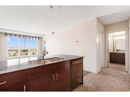 1003-8710 Horton Road Sw, Calgary, AB - Indoor Photo Showing Kitchen With Double Sink