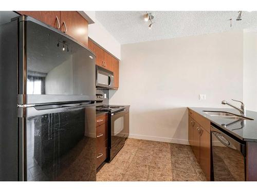 1003-8710 Horton Road Sw, Calgary, AB - Indoor Photo Showing Kitchen With Double Sink