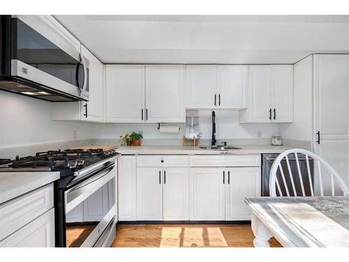 663 Merrill Drive Ne, Calgary, AB - Indoor Photo Showing Kitchen With Double Sink