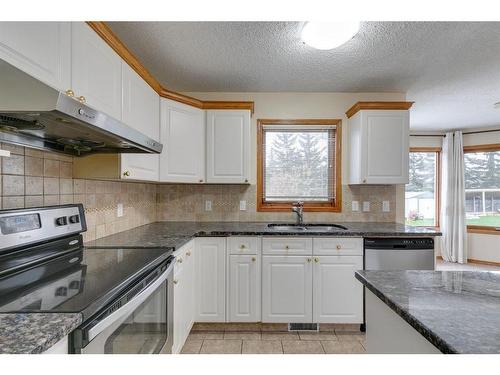 78 Hampstead Circle Nw, Calgary, AB - Indoor Photo Showing Kitchen With Double Sink