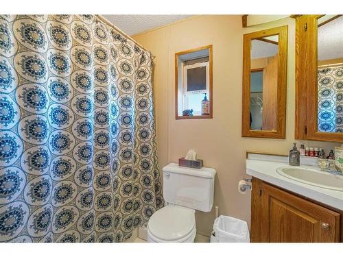 163052 Hwy 845, Rural Vulcan County, AB - Indoor Photo Showing Bathroom