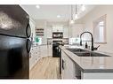 3-440 11 Avenue Ne, Calgary, AB  - Indoor Photo Showing Kitchen With Double Sink 