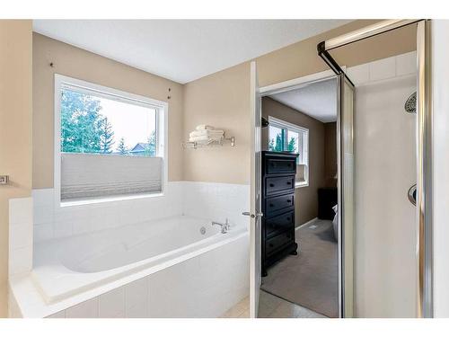 168 Bridlepost Green Sw, Calgary, AB - Indoor Photo Showing Bathroom