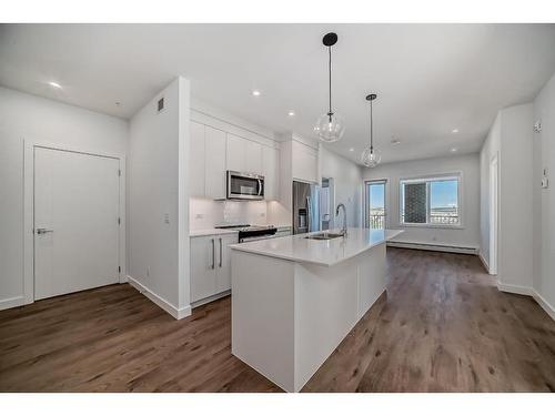 2205-395 Skyview Parkway Ne, Calgary, AB - Indoor Photo Showing Kitchen With Upgraded Kitchen