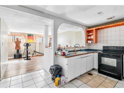 456 Whitehill Place Ne, Calgary, AB - Indoor Photo Showing Kitchen With Double Sink