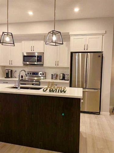 11190 Harvest Hills Gate Ne, Calgary, AB - Indoor Photo Showing Kitchen With Stainless Steel Kitchen