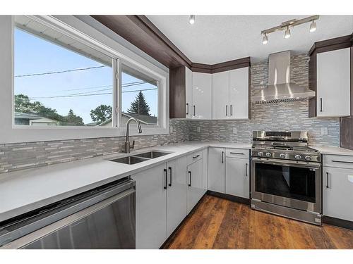 604 Fortalice Crescent Se, Calgary, AB - Indoor Photo Showing Kitchen With Double Sink With Upgraded Kitchen