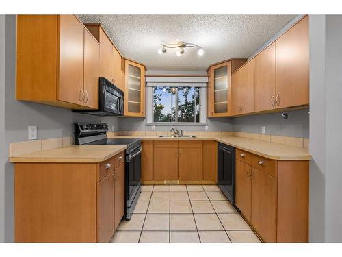 104 Falconridge Close Ne, Calgary, AB - Indoor Photo Showing Kitchen With Double Sink