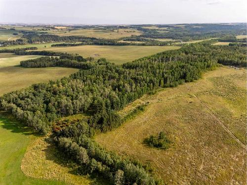 40 Acres Range Road 44, Rural Mountain View County, AB 