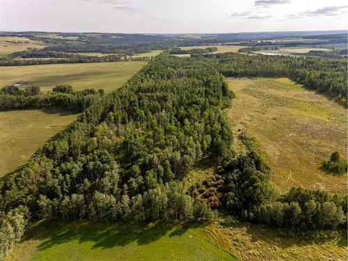 40 Acres Range Road 44, Rural Mountain View County, AB 