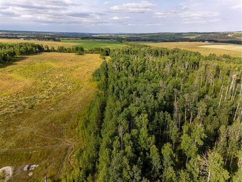 40 Acres Range Road 44, Rural Mountain View County, AB 