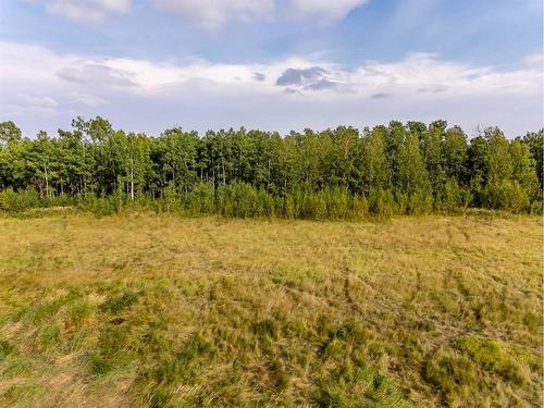 40 Acres Range Road 44, Rural Mountain View County, AB 