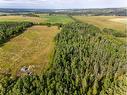 40 Acres Range Road 44, Rural Mountain View County, AB 