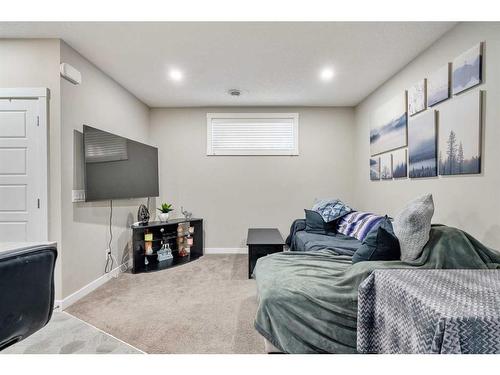 90 Seton Grove Se, Calgary, AB - Indoor Photo Showing Basement