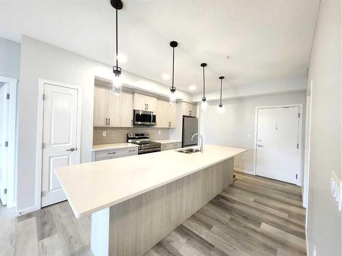 306-80 Carrington Plaza Nw, Calgary, AB - Indoor Photo Showing Kitchen With Double Sink With Upgraded Kitchen