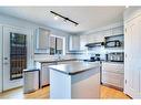 116 San Fernando Crescent Ne, Calgary, AB  - Indoor Photo Showing Kitchen With Double Sink 