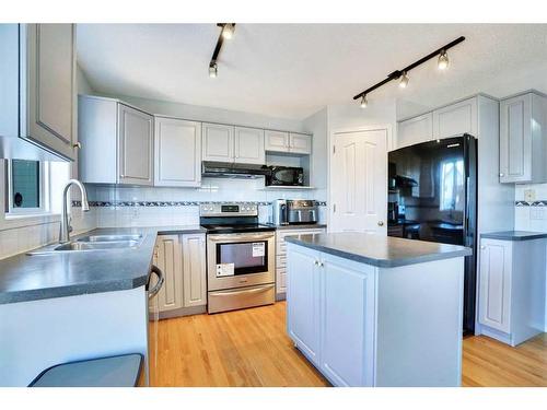 116 San Fernando Crescent Ne, Calgary, AB - Indoor Photo Showing Kitchen With Double Sink