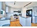 116 San Fernando Crescent Ne, Calgary, AB  - Indoor Photo Showing Kitchen With Double Sink 