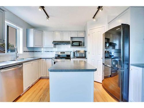 116 San Fernando Crescent Ne, Calgary, AB - Indoor Photo Showing Kitchen With Double Sink