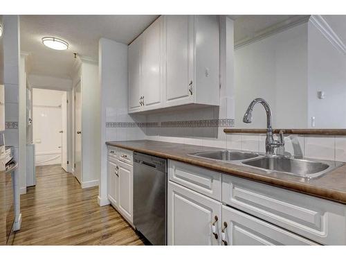 108-727 56 Avenue Sw, Calgary, AB - Indoor Photo Showing Kitchen With Double Sink