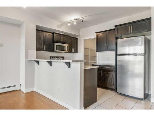 303-117 19 Avenue Ne, Calgary, AB - Indoor Photo Showing Kitchen