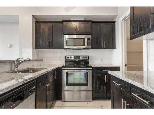 303-117 19 Avenue Ne, Calgary, AB - Indoor Photo Showing Kitchen With Stainless Steel Kitchen With Double Sink With Upgraded Kitchen