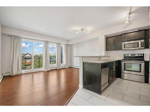 303-117 19 Avenue Ne, Calgary, AB - Indoor Photo Showing Kitchen With Stainless Steel Kitchen