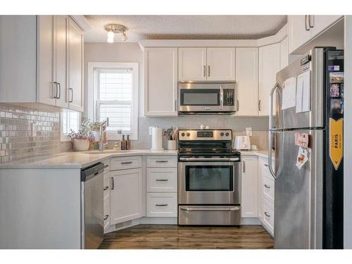 217 Harvest Gold Circle Ne, Calgary, AB - Indoor Photo Showing Kitchen With Stainless Steel Kitchen With Upgraded Kitchen