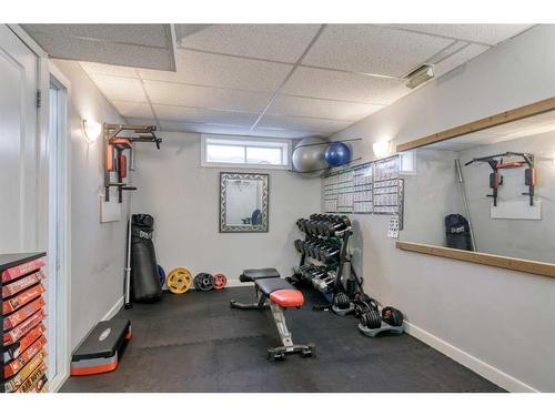 217 Harvest Gold Circle Ne, Calgary, AB - Indoor Photo Showing Basement