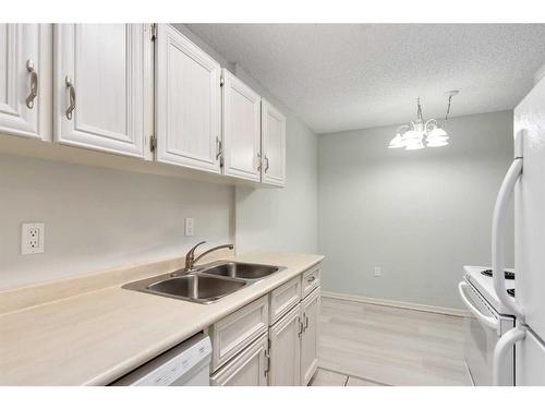 105-1602 11 Avenue Sw, Calgary, AB - Indoor Photo Showing Kitchen With Double Sink