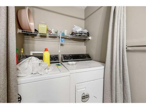 120 Taralake Terrace Ne, Calgary, AB - Indoor Photo Showing Laundry Room