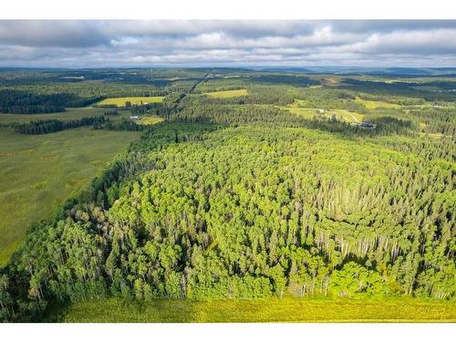 78 Acres Range Road 52, Rural Mountain View County, AB 