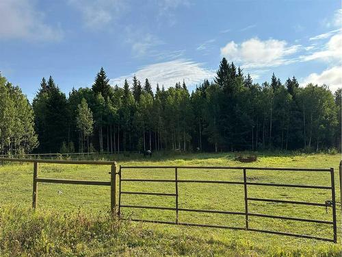 78 Acres Range Road 52, Rural Mountain View County, AB 