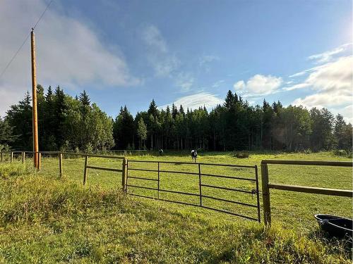 78 Acres Range Road 52, Rural Mountain View County, AB 