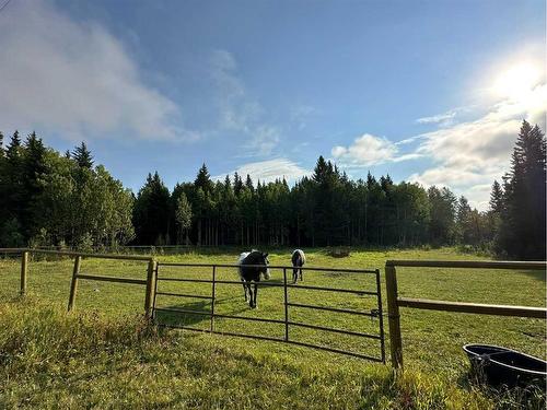 78 Acres Range Road 52, Rural Mountain View County, AB 