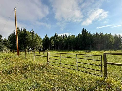 78 Acres Range Road 52, Rural Mountain View County, AB 