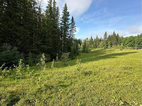 78 Acres Range Road 52, Rural Mountain View County, AB 