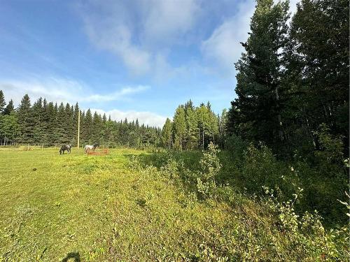 78 Acres Range Road 52, Rural Mountain View County, AB 