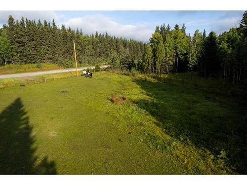 78 Acres Range Road 52, Rural Mountain View County, AB 