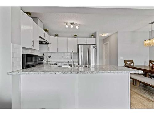 252 Pantego Lane Nw, Calgary, AB - Indoor Photo Showing Kitchen With Upgraded Kitchen