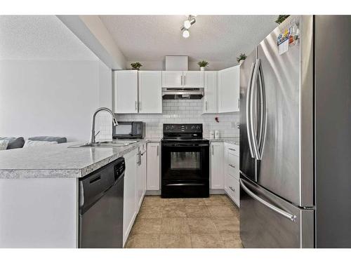 252 Pantego Lane Nw, Calgary, AB - Indoor Photo Showing Kitchen With Stainless Steel Kitchen